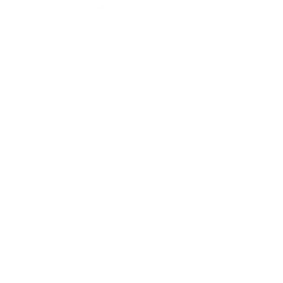 Logo del IGP